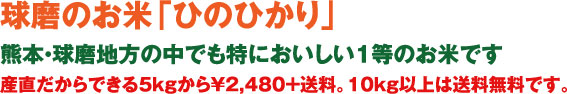 球磨のお米「ひのひかり」