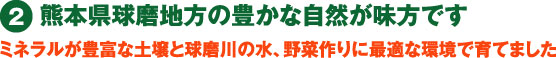 熊本県球磨地方の豊かな自然が味方です